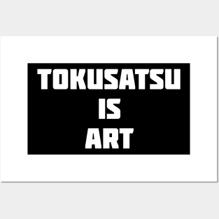 Tokusatsu is Art Posters and Art